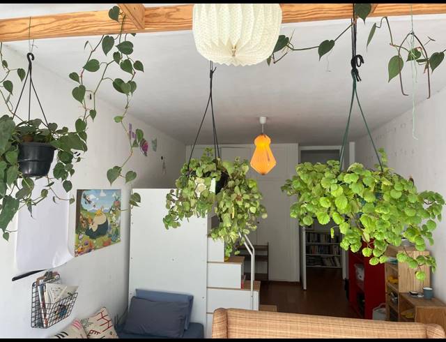 3 BEDROOM APARTMENT TO LET IN BIRDHAVEN